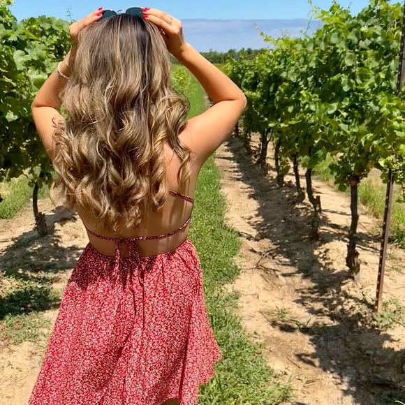 Meet your Posher, Pauline - Picture 1 of 1